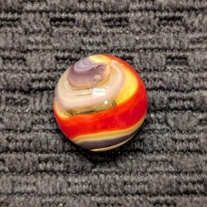 Rare Purple, Yellow & Red Hybrid Popeye Corkscrew