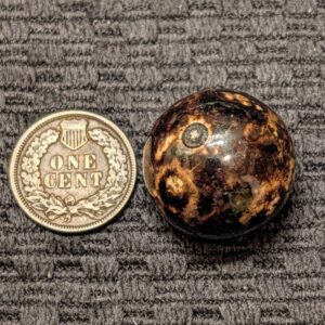 Big Shooter Size 7/8" Dark Brown Bennington - Wet Mint