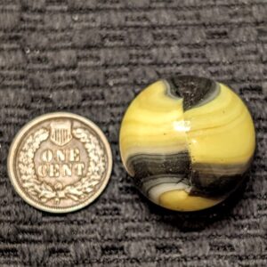 31/32" Marble King Bumblebee!