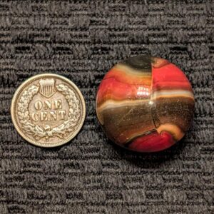 Large 15/16" Marble King Wasp!