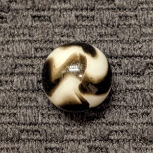 Peltier Zebra with AV & Bold Pattern!